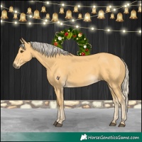 Horse Color:Palomino