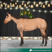 Horse Color:Bay Dun