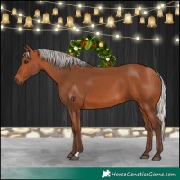 Horse Color:Silver Bay