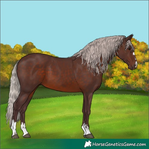 Horse Color:Chocolate Silver Brown Mushroom