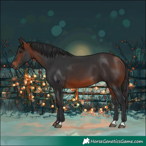 Horse Color:Bay 