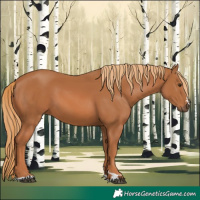 Horse Color:Chestnut 