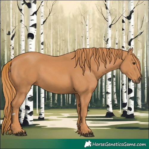 Horse Color:Chestnut 