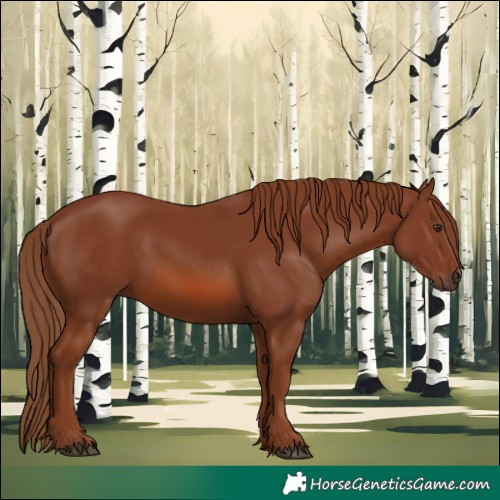 Horse Color:Chestnut 