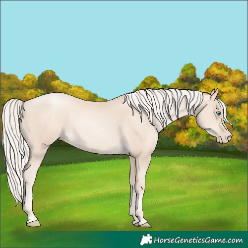 Horse Color:Gold Cream Champagne Pearl
