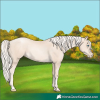 Horse Color:Gold Cream Champagne Pearl