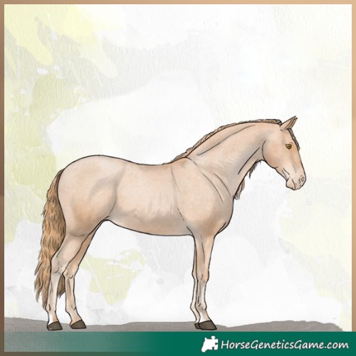 Horse Color:Chestnut Pearl Appaloosa 
