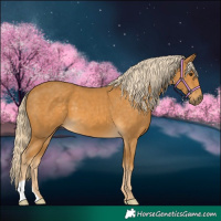 Horse Color:Palomino 