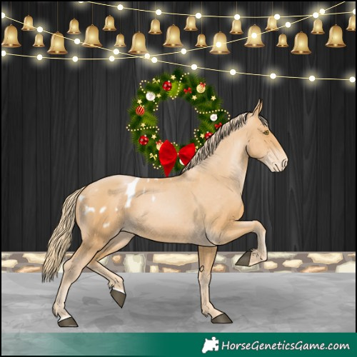 Horse Color:Chestnut Pearl Appaloosa 