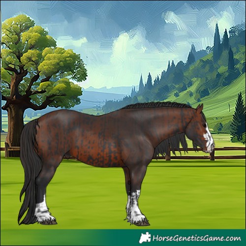 Horse Color:Black  and Brown 