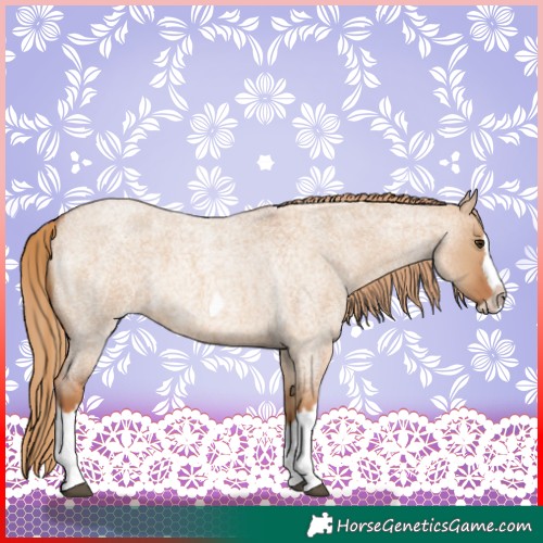 Horse Color:Red Dun Roan Splash Frame Rabicano