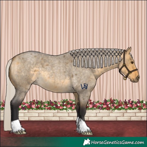 Horse Color:Silver Buckskin Roan Dun 