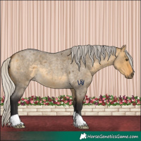 Horse Color:Silver Buckskin Roan Dun 