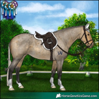 Horse Color:Silver Buckskin Roan Dun 