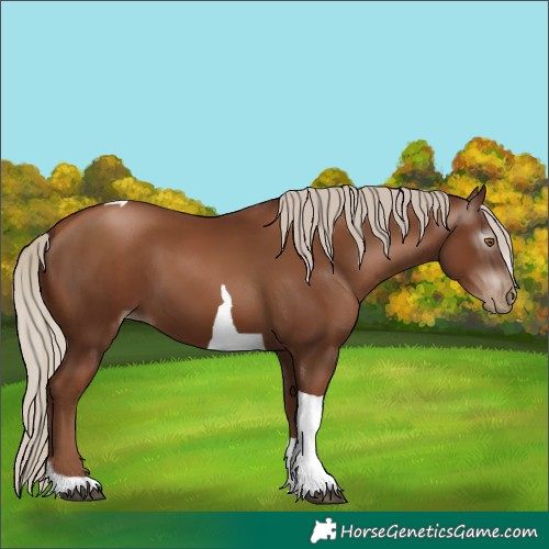Horse Color:Gray Silver Black Pearl Tobiano 