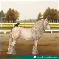 Horse Color:Chestnut Pearl Varnish