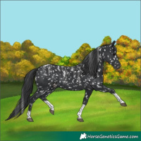 Horse Color:Powder White Black Tobiano Snowflake Varnish