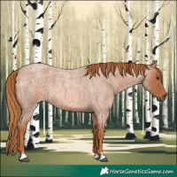 Horse Color:Red Roan 