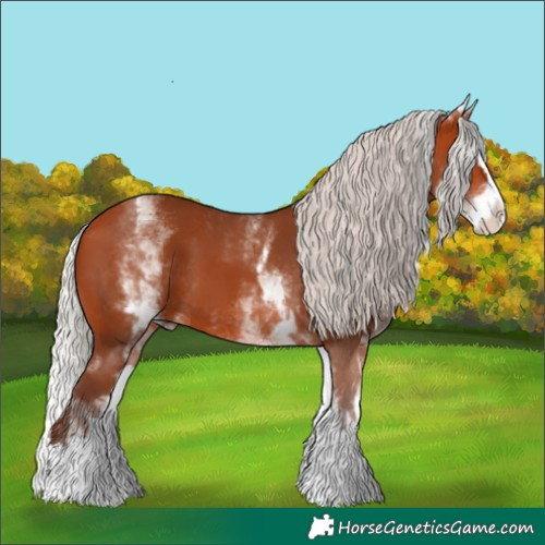 Horse Color:White Spotted Silver Bay Splash 