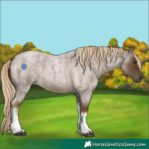 Horse Color:Chocolate Palomino Roan Tobiano 