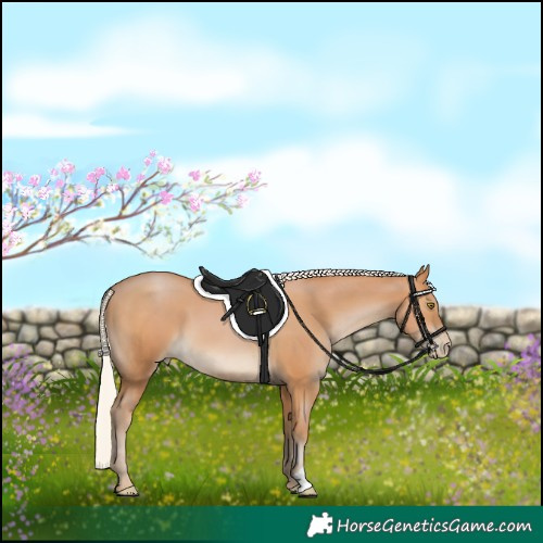 Horse Color:Silver Bay Pearl 