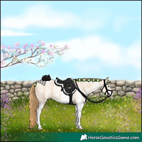 Horse Color:White Spotted Buckskin Pearl 