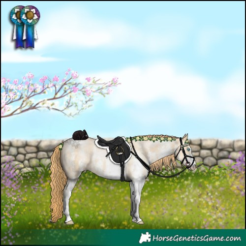 Horse Color:White Spotted Buckskin Pearl 