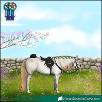 Horse Color:White Spotted Buckskin Pearl