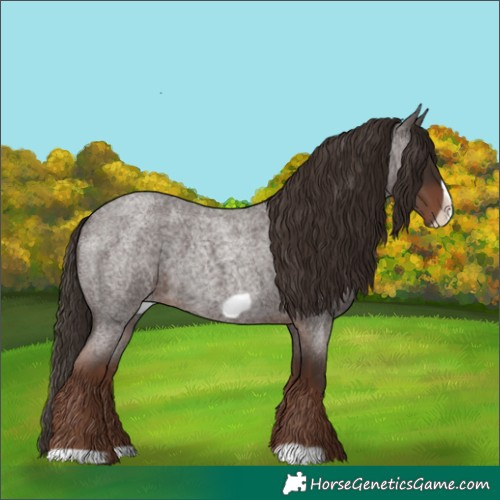 Horse Color:Liver Red Roan Frame 