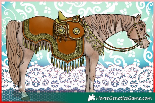 Horse Color:Black Pearl Appaloosa 