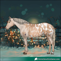 Horse Color:Chestnut Pearl Appaloosa 