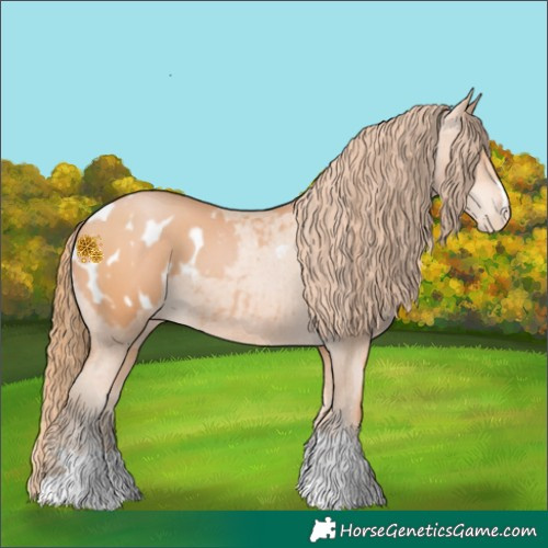 Horse Color:Bay Pearl Blanket
