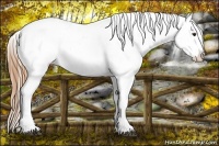 Horse Color:Chestnut Tobiano Varnish 