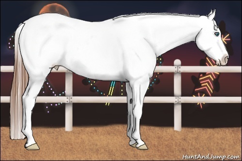 Horse Color:Blue Roan Splash Varnish 