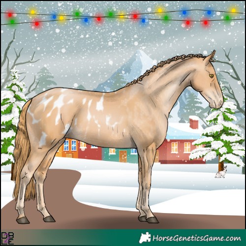 Horse Color:Chestnut Pearl Appaloosa