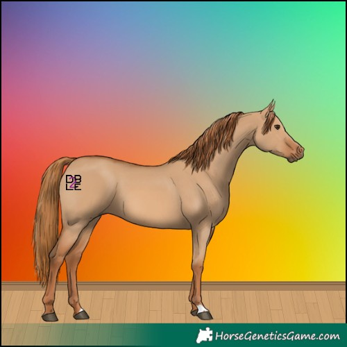 Horse Color:Red Dun