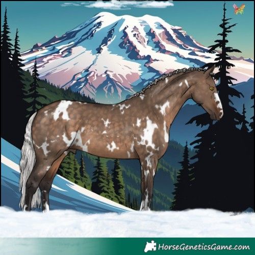 Horse Color:White Spotted Silver Brown Dun 
