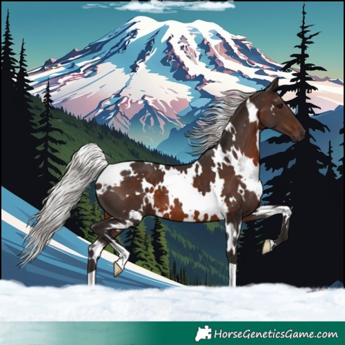 Horse Color:White Spotted Silver Brown