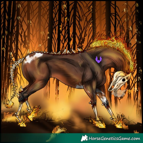 Horse Color:Bay Tobiano 