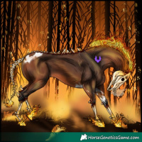 Horse Color:Bay Tobiano 