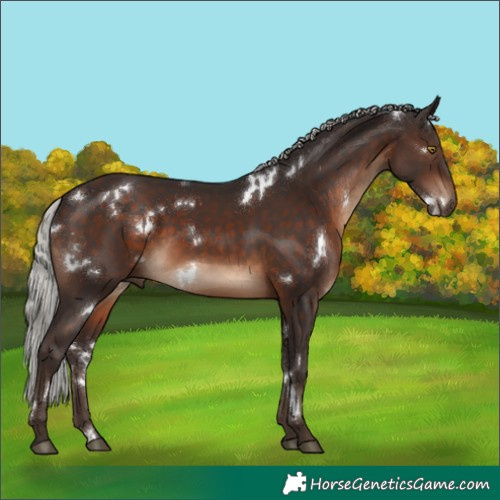 Horse Color:White Spotted Silver Brown 