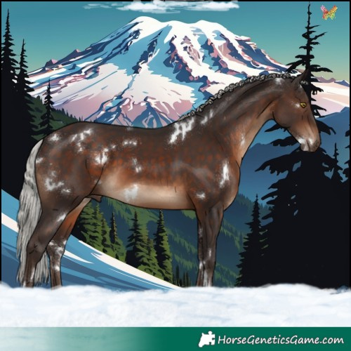 Horse Color:White Spotted Silver Brown 