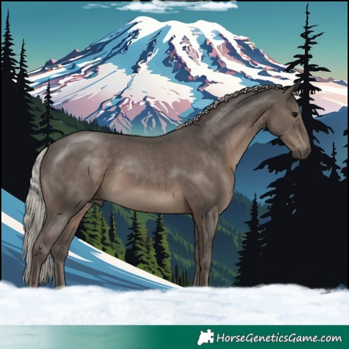 Horse Color:Silver Black 