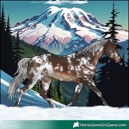 Horse Color:White Spotted Silver Brown 