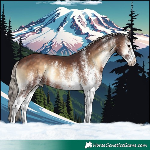 Horse Color:White Spotted Chocolate Silver Brown Onyx 