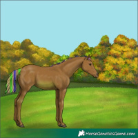 Horse Color:Painted Watercolor Chestnut 