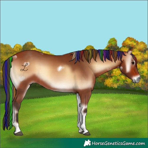 Horse Color:Painted Bay Onyx Tobiano 