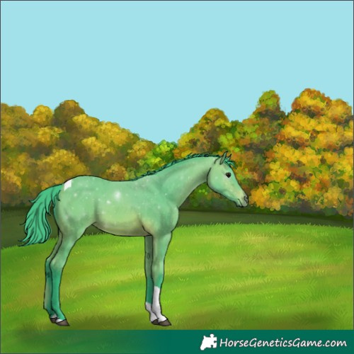 Horse Color:Watercolor Bay Tobiano 