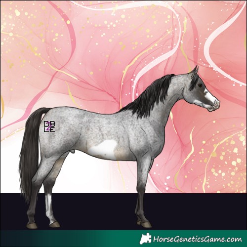 Horse Color:Buckskin Roan Sabino Frame 