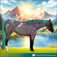 Horse Color:Painted Midnight Bay Roan